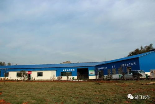 湖口這個(gè)鄉(xiāng)鎮(zhèn)變化太大了,美到你不認(rèn)識(shí) 是你家鄉(xiāng)嗎