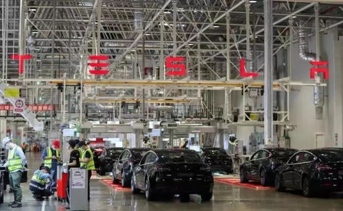 特斯拉否認降價傳聞引發(fā)網友熱議